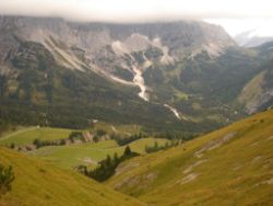2013-09-08_6Falkenh-Steinfalk (302).JPG
